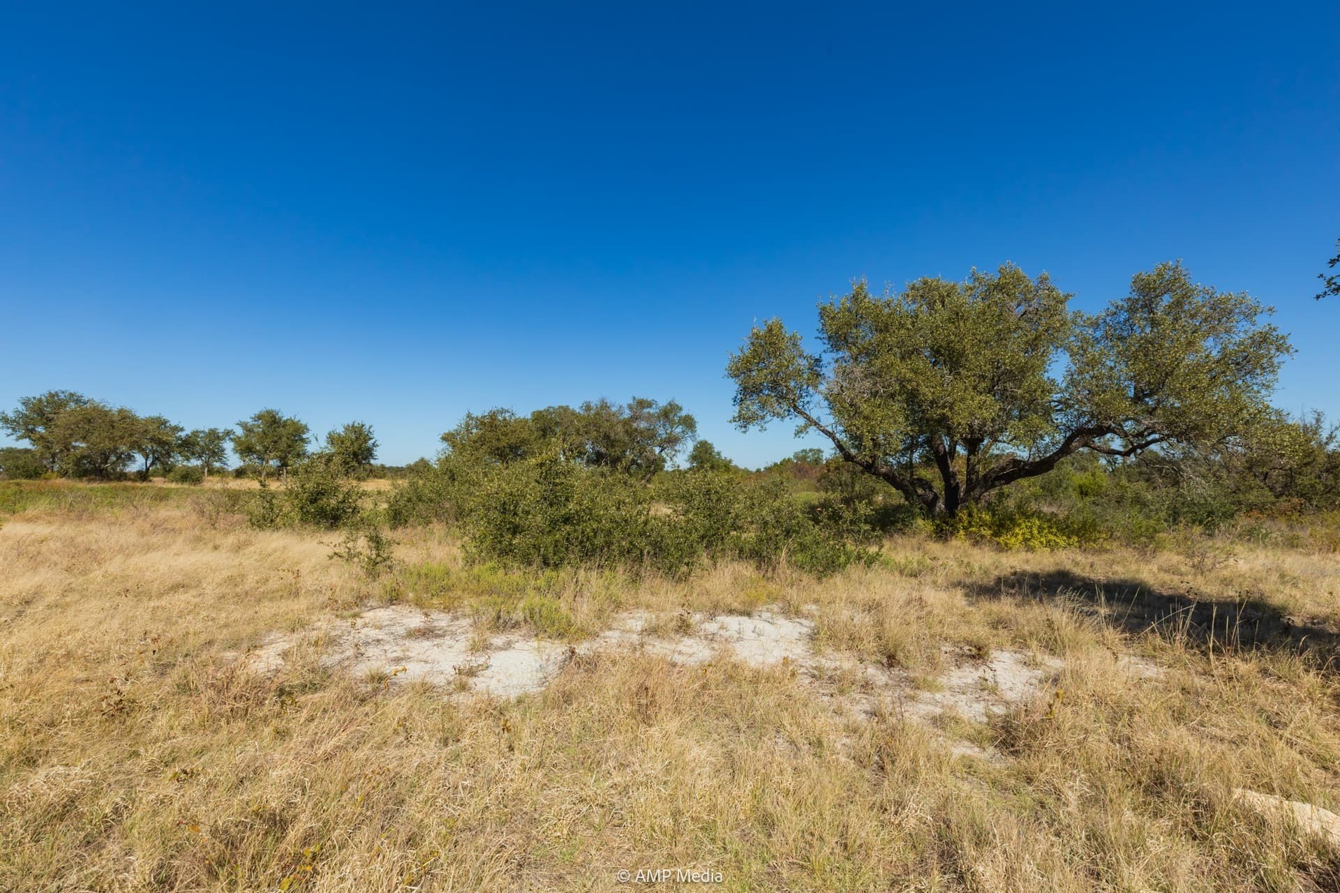 60 acres in Comanche County - photo 15