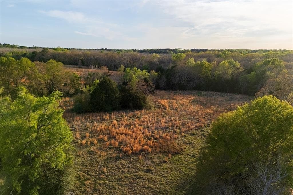29 acres in Anderson County