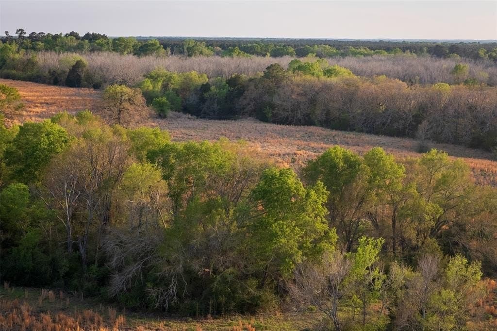 29 acres in Anderson County featured view