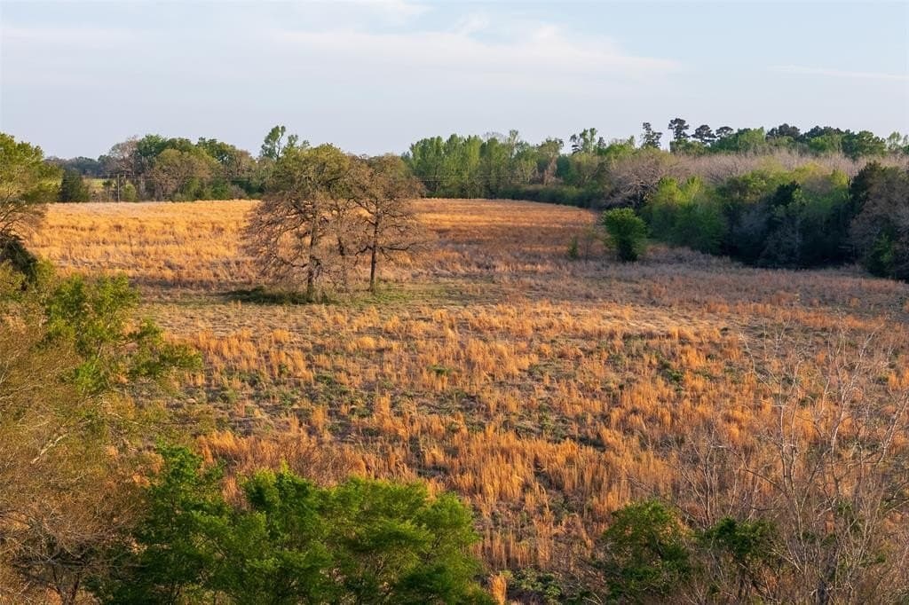 29 acres in Anderson County gallery image 3