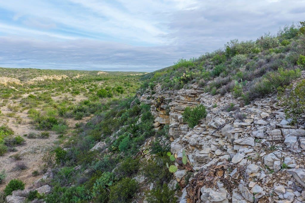 933 acres in Terrell County - photo 10