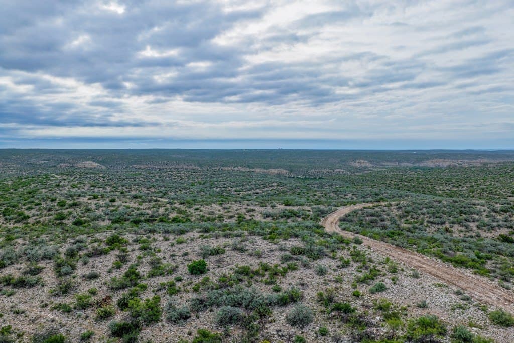 933 acres in Terrell County - photo 19