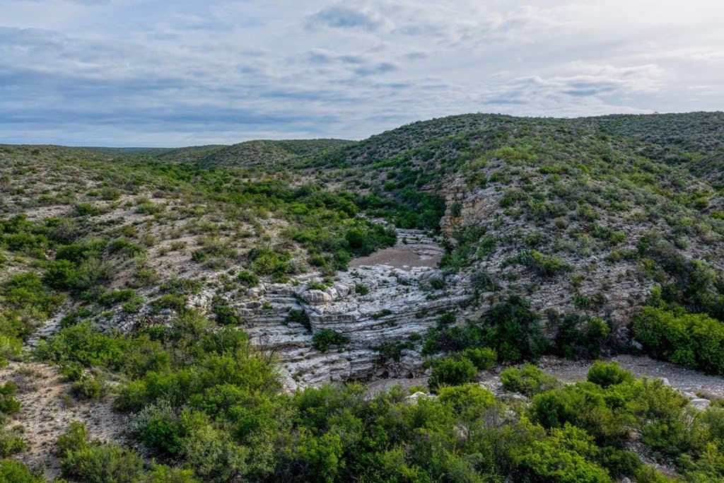 933 acres in Terrell County - photo 11