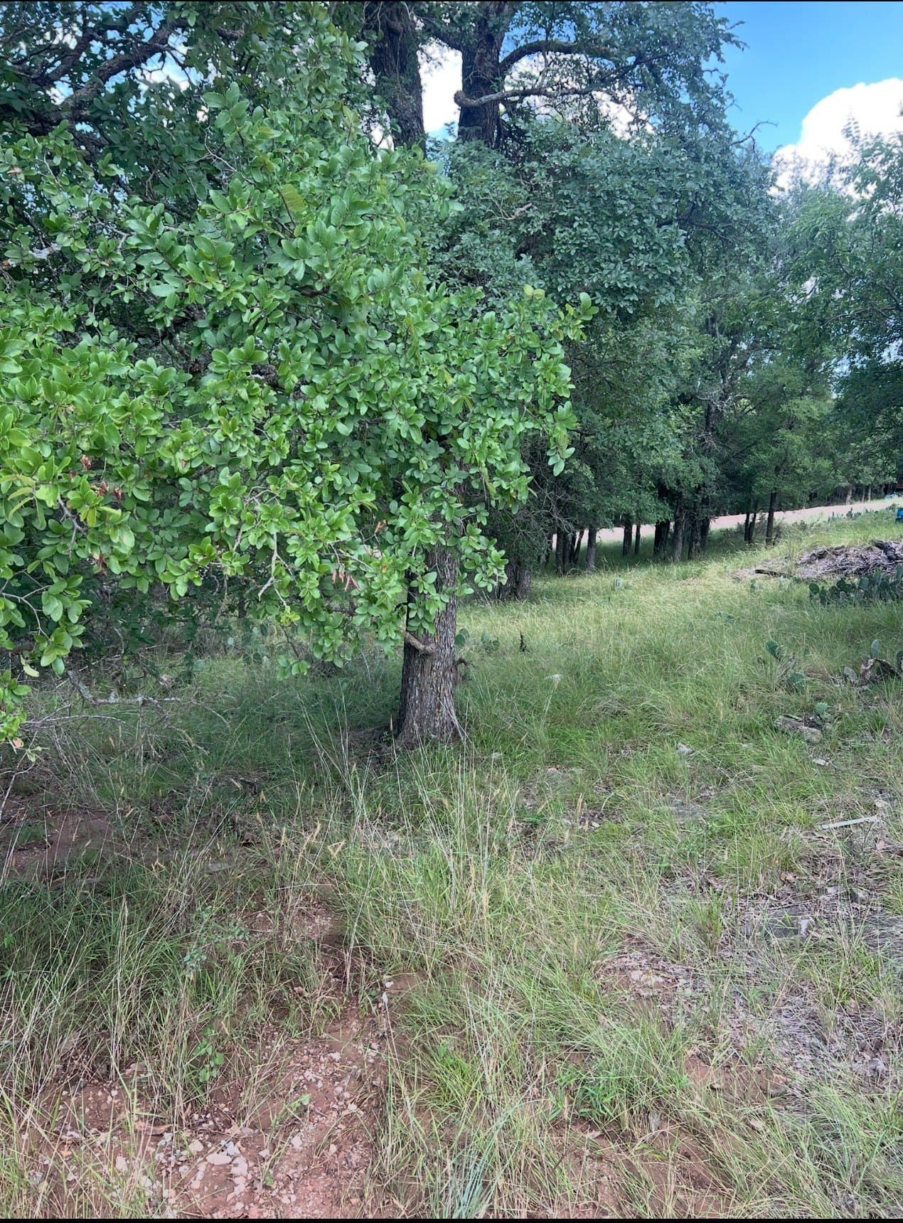 0.05 acres in Brown County
