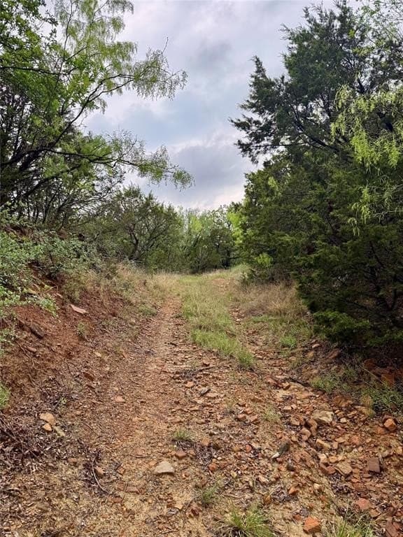 5.04 acres in Palo Pinto County gallery image 4