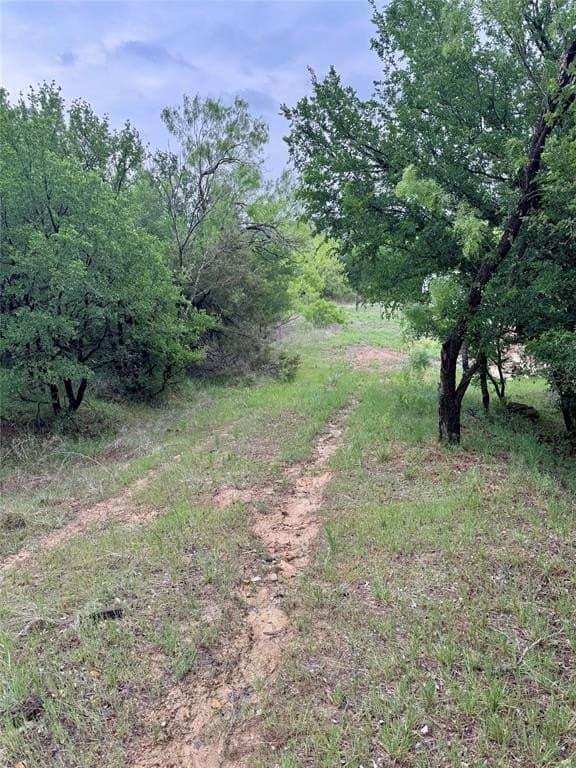 5.04 acres in Palo Pinto County gallery image 2