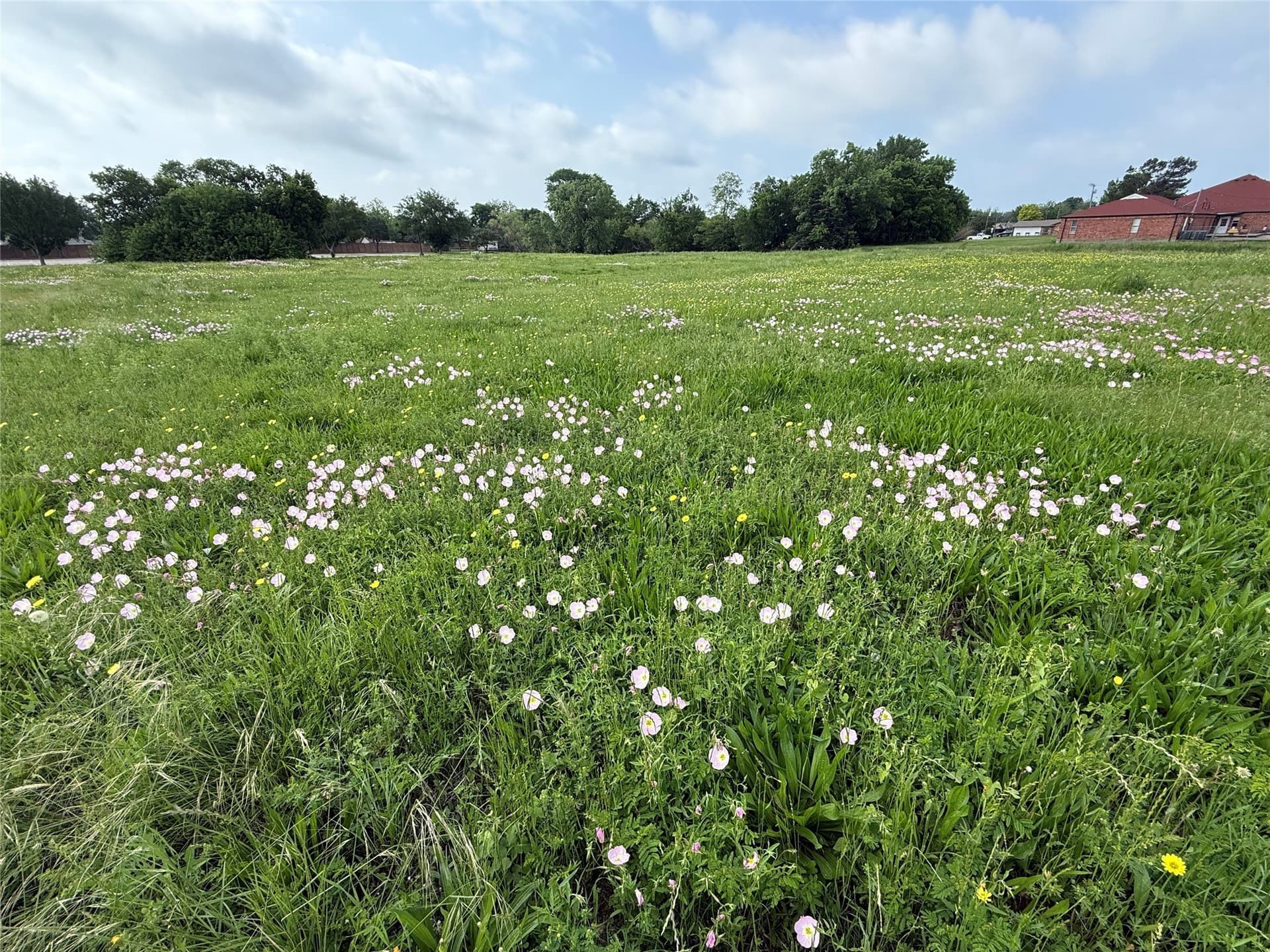 5.05 acres in Dallas County - photo 6