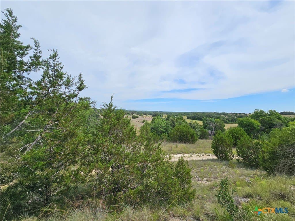 10.21 acres in Lampasas County gallery image 3