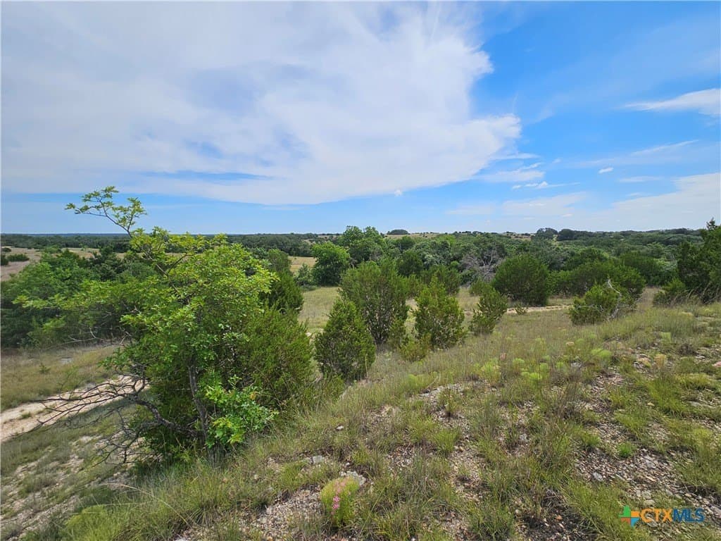 10.21 acres in Lampasas County gallery image 4