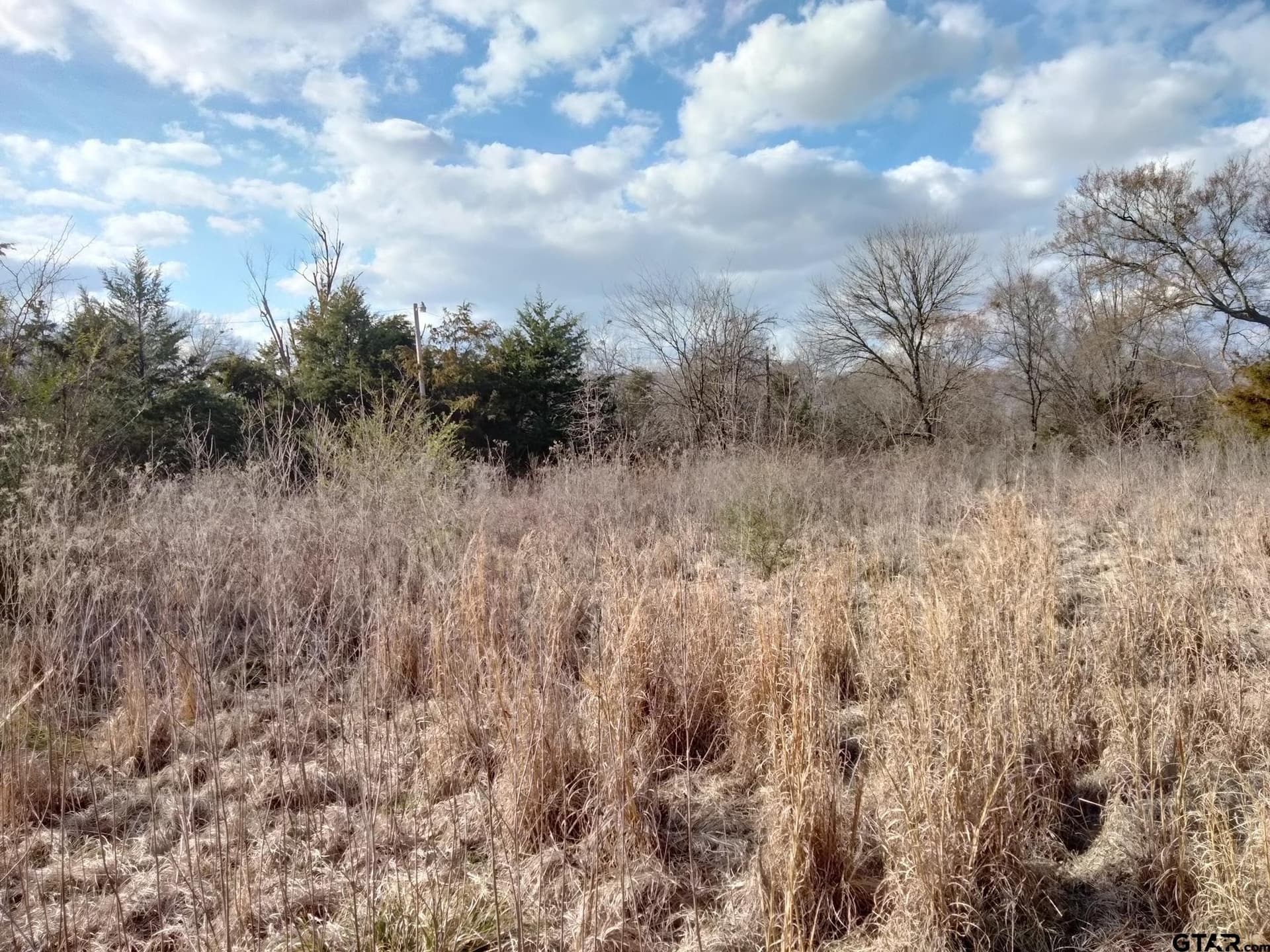 5.49 acres in Red River County gallery image 3