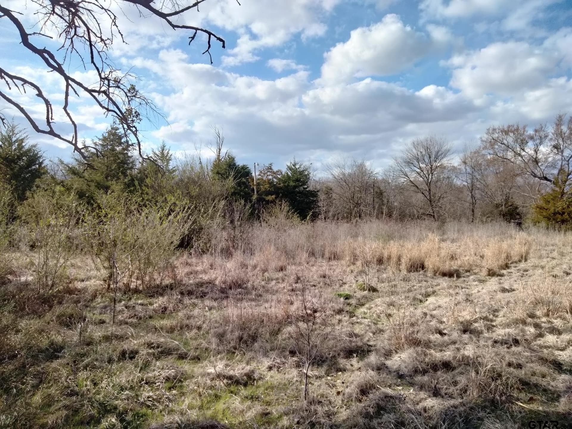 5.49 acres in Red River County featured view