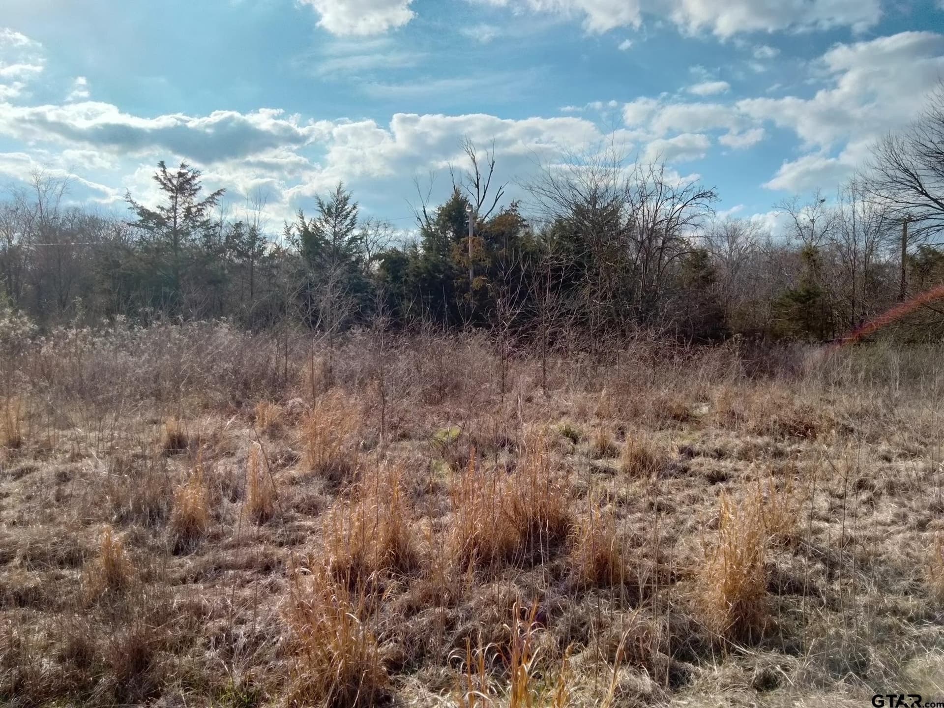 5.49 acres in Red River County - photo 8