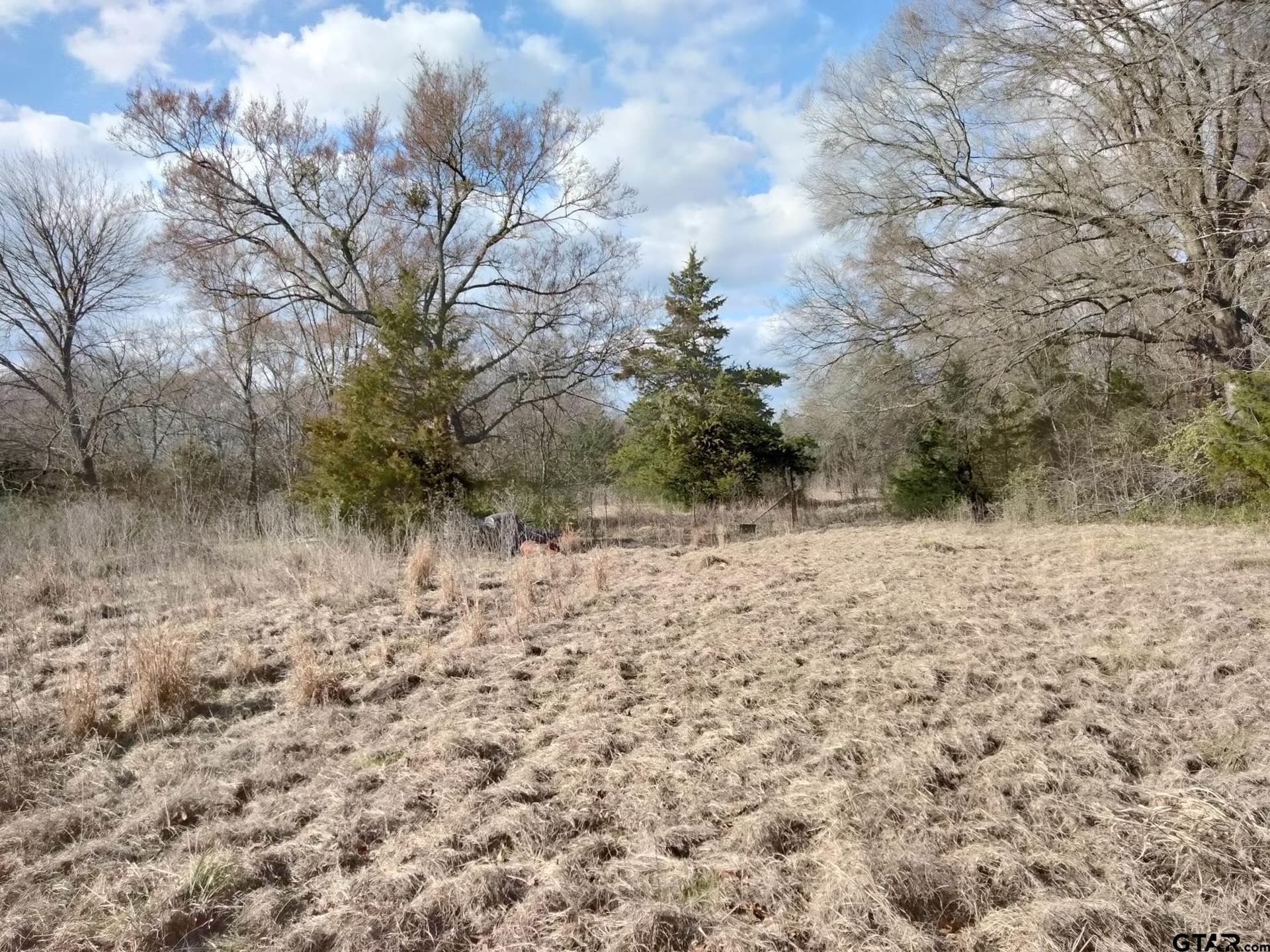 5.49 acres in Red River County gallery image 2
