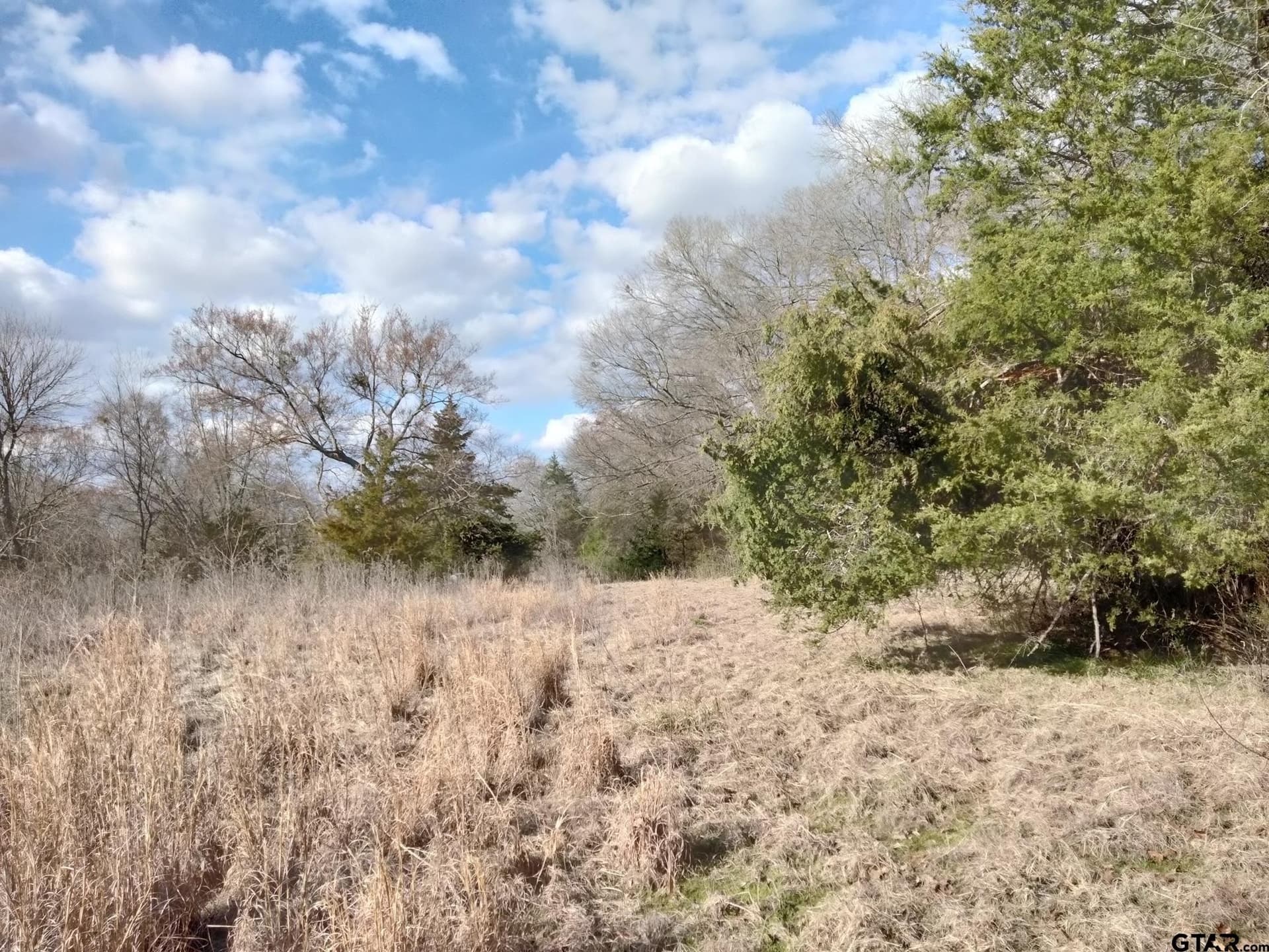 5.49 acres in Red River County gallery image 4