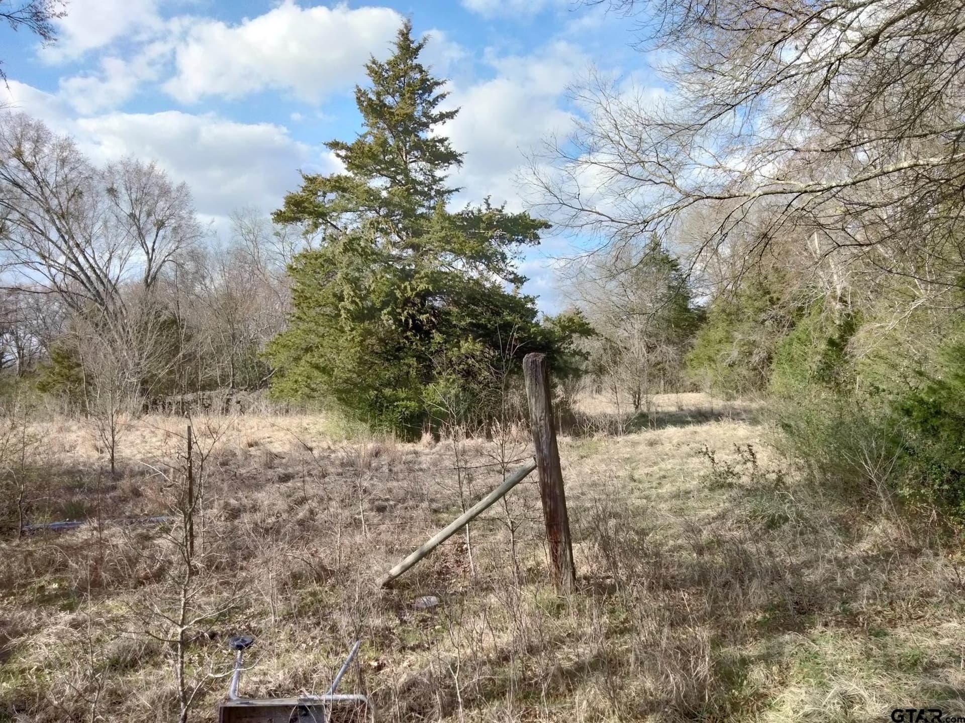5.49 acres in Red River County - photo 7