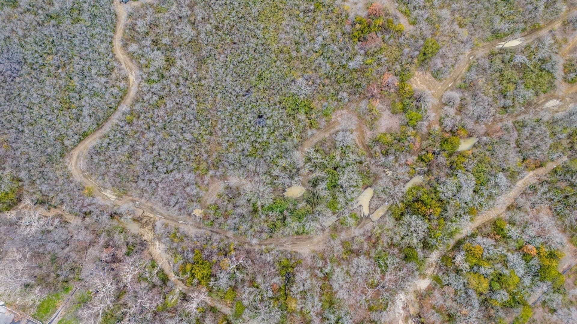 3.78 acres in Dallas County - photo 7