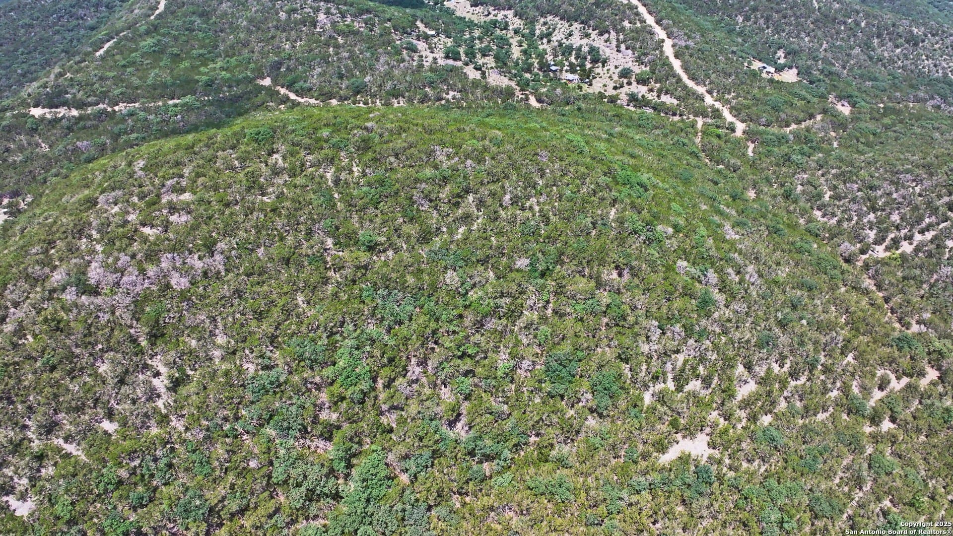 10.8 acres in Real County gallery image 3