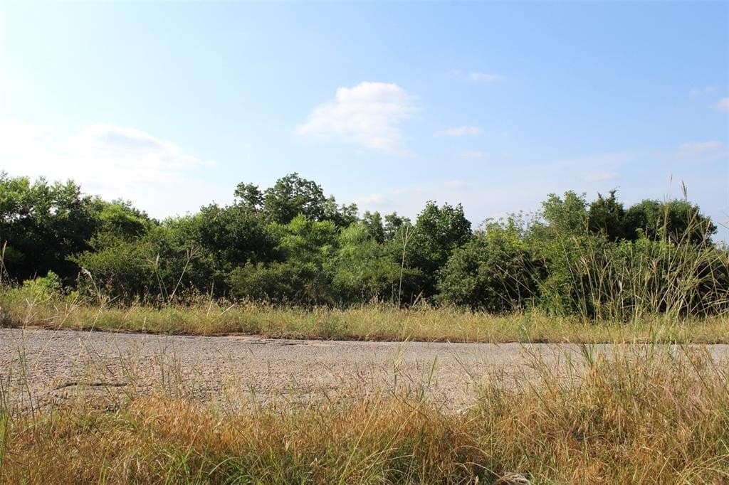 0.26 acres in Hood County gallery image 2