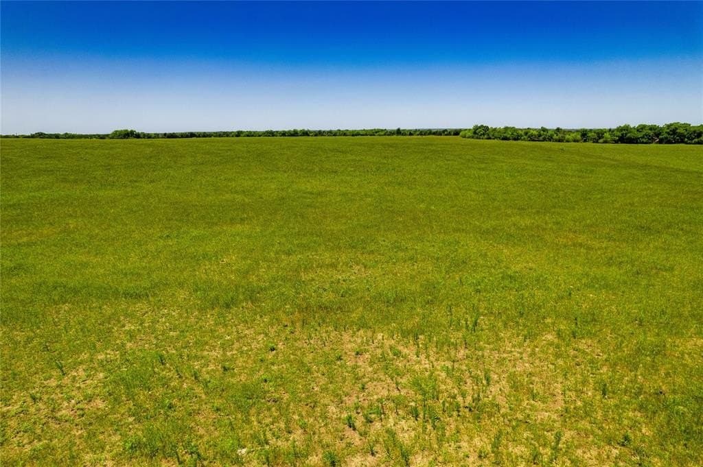 10 acres in Kaufman County gallery image 4