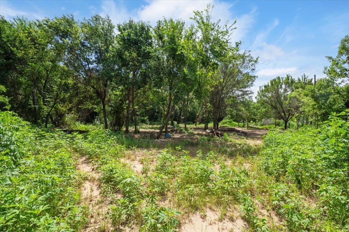 2.36 acres in Wise County - photo 6