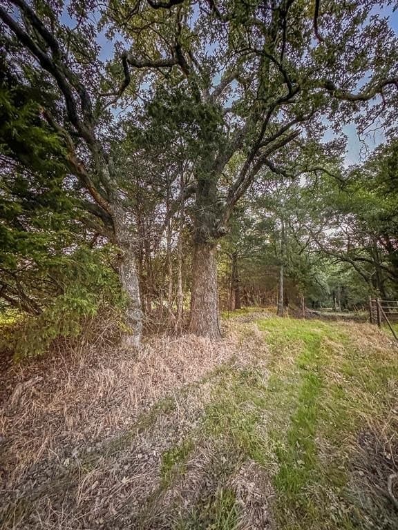 200 acres in Montague County gallery image 4