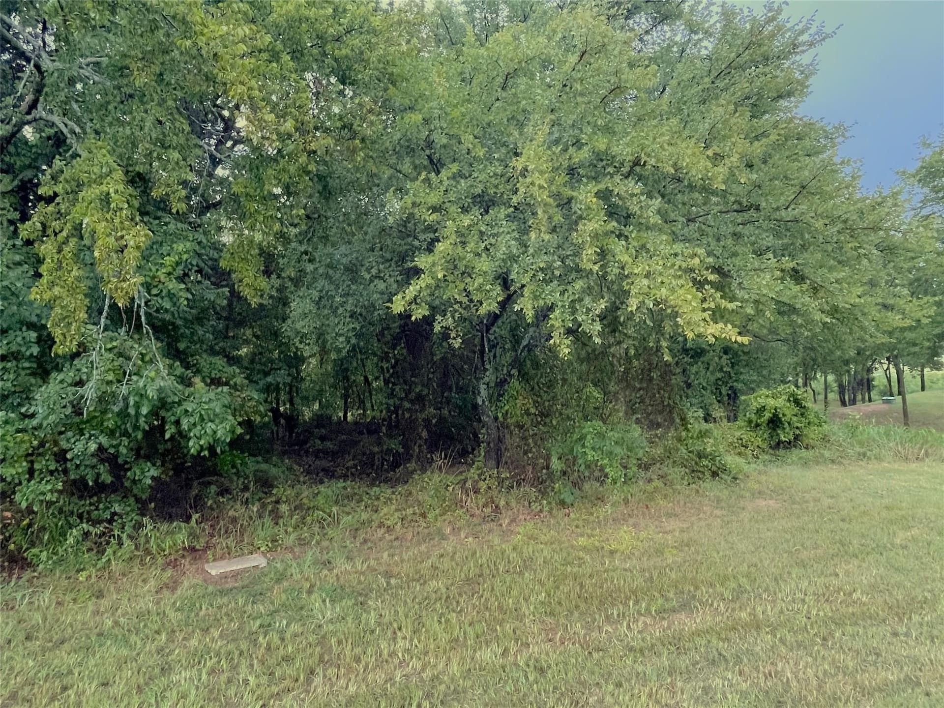 0.43 acres in Grayson County gallery image 2