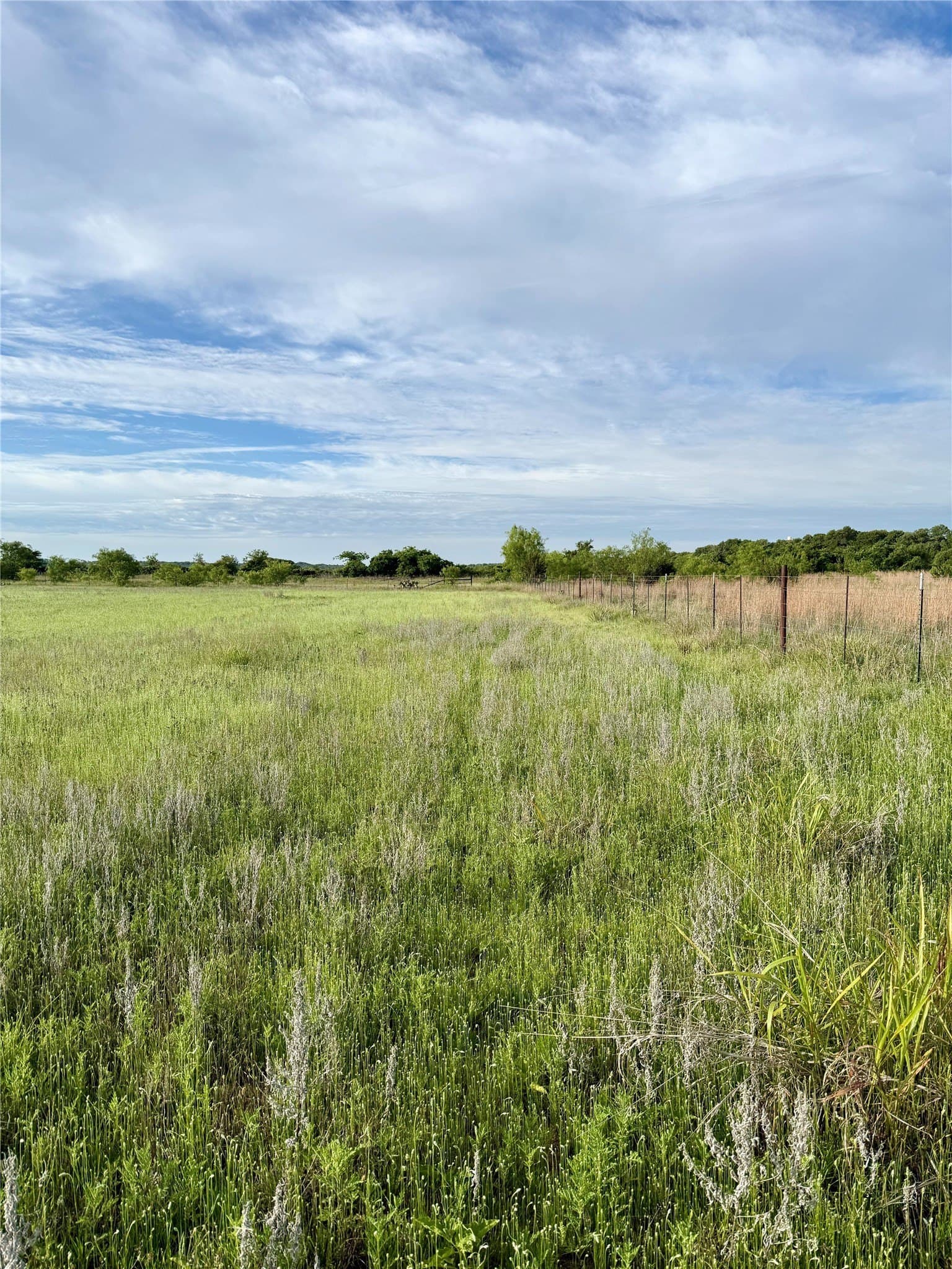 13 acres in Callahan County featured view