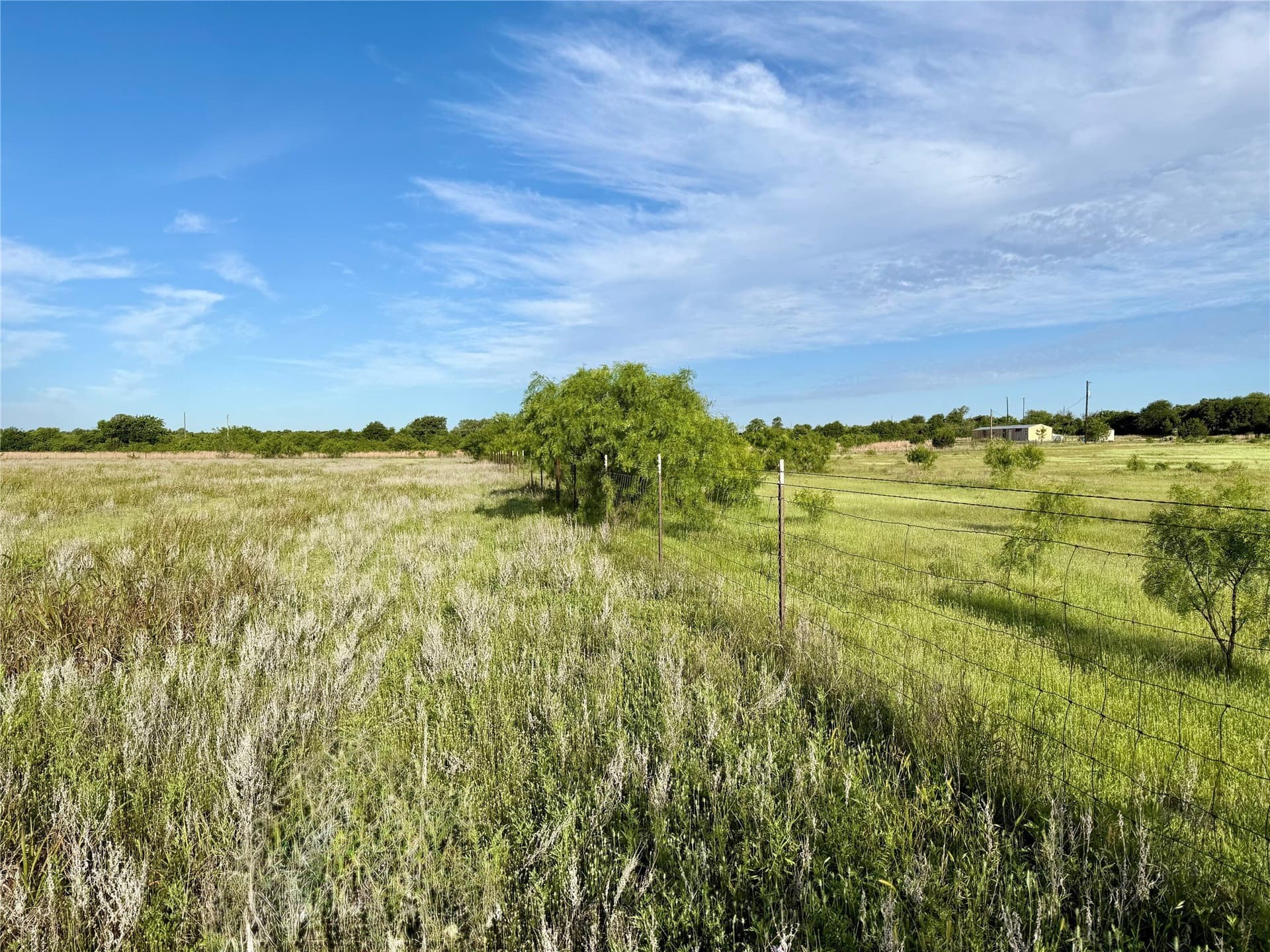 13 acres in Callahan County - photo 8
