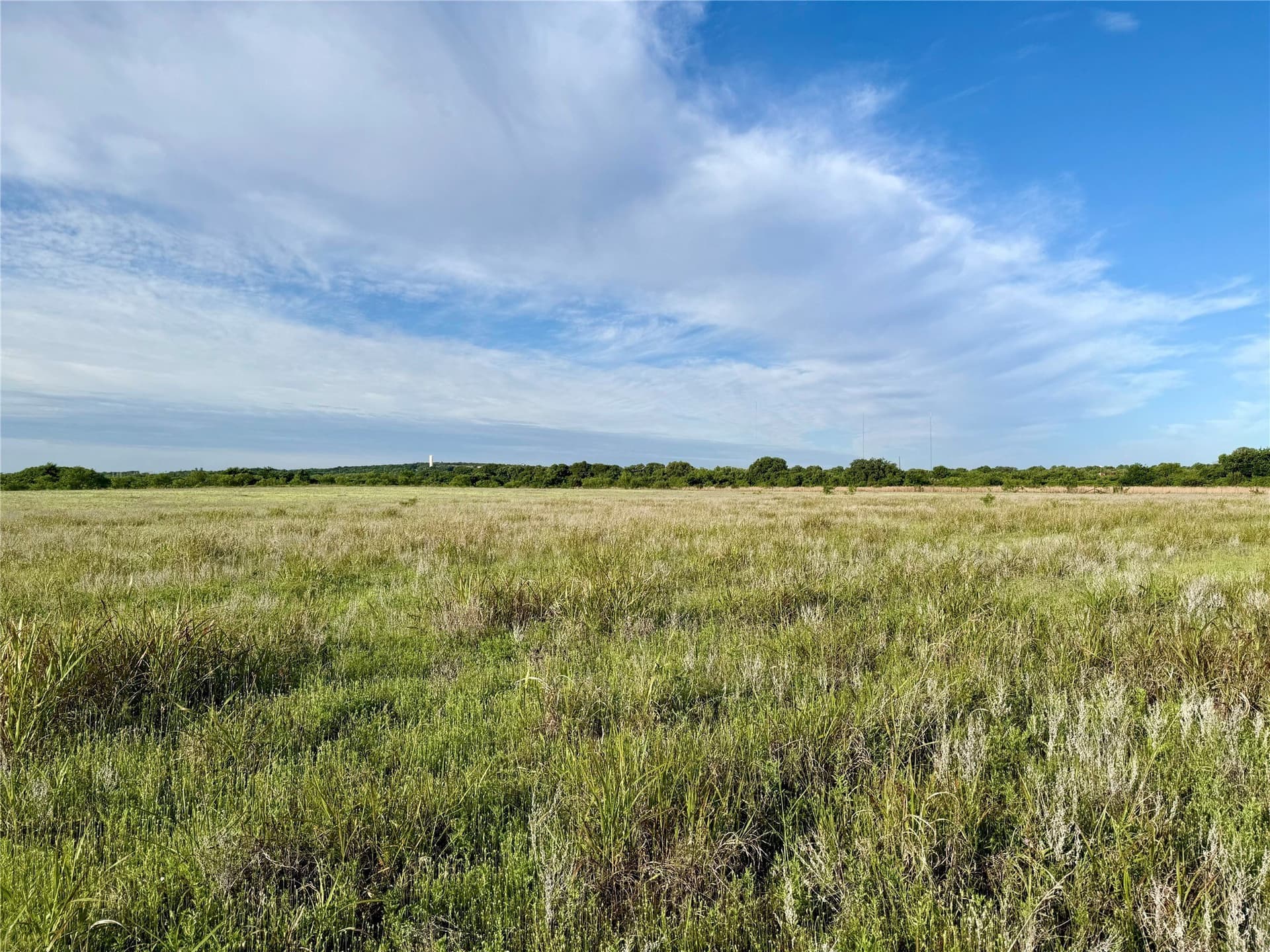 13 acres in Callahan County - photo 7