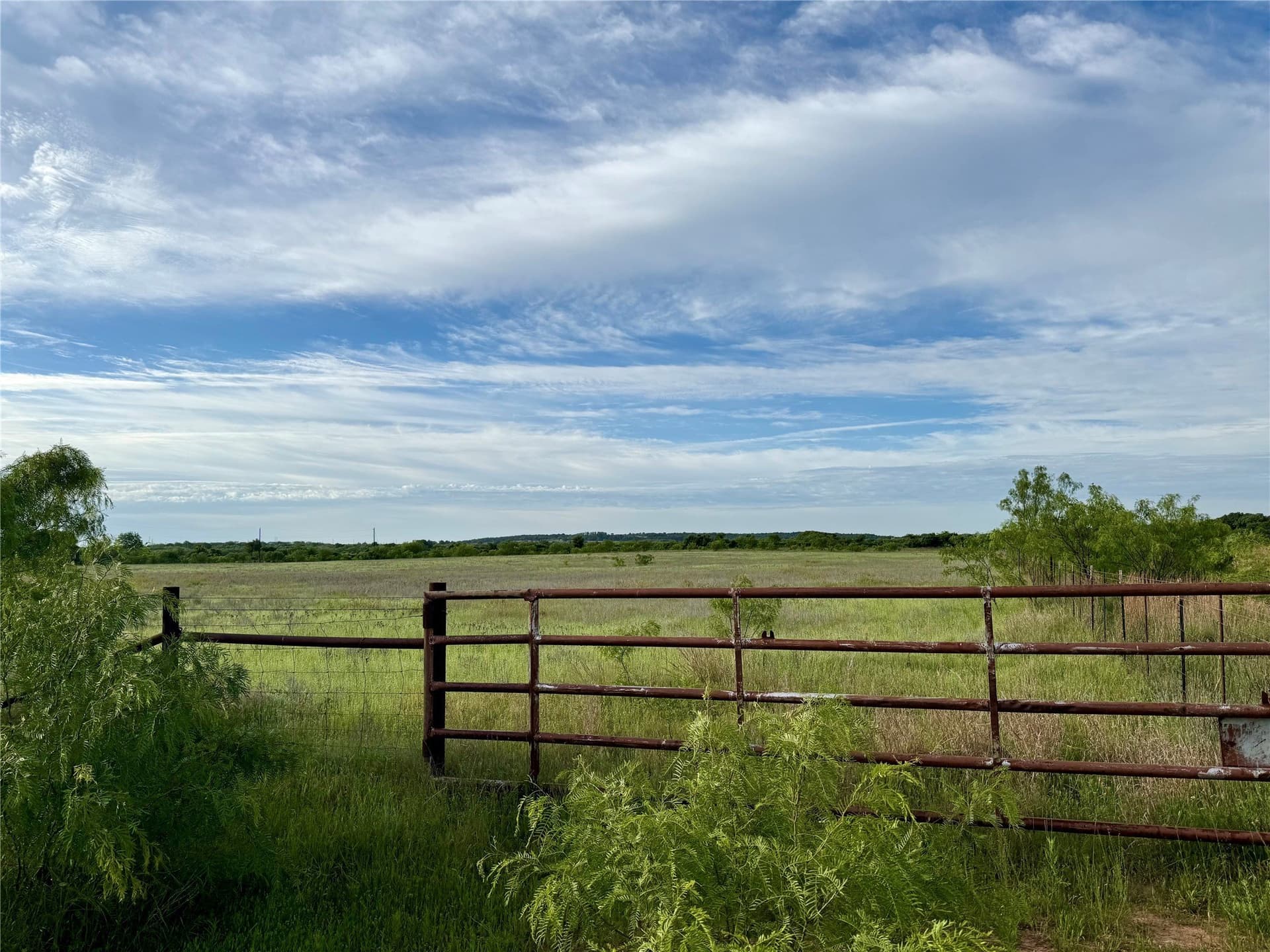 13 acres in Callahan County gallery image 2