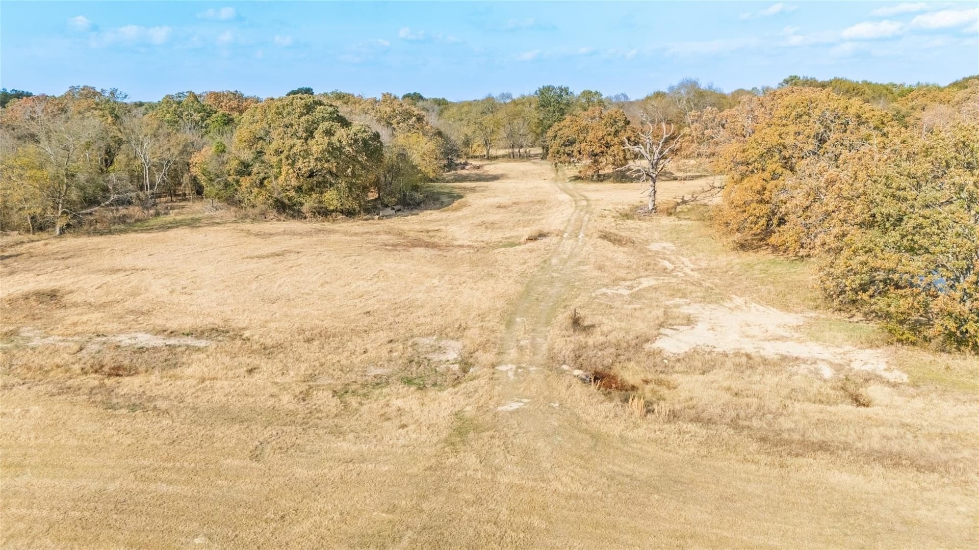 54.88 acres in Hunt County - photo 23