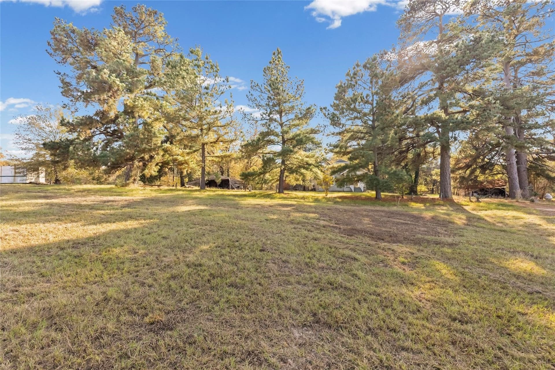 54.88 acres in Hunt County gallery image 4