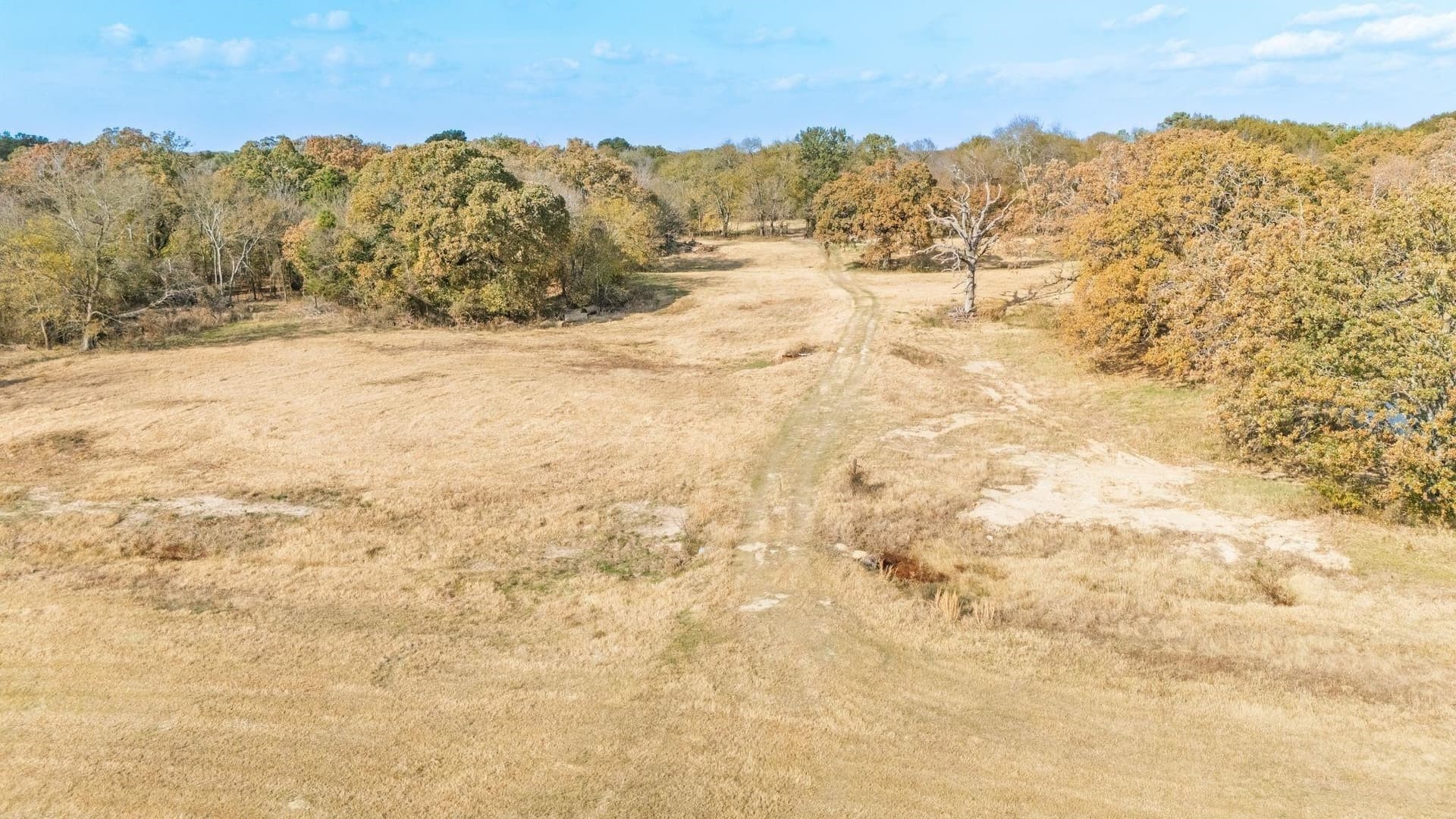 54.88 acres in Hunt County - photo 22
