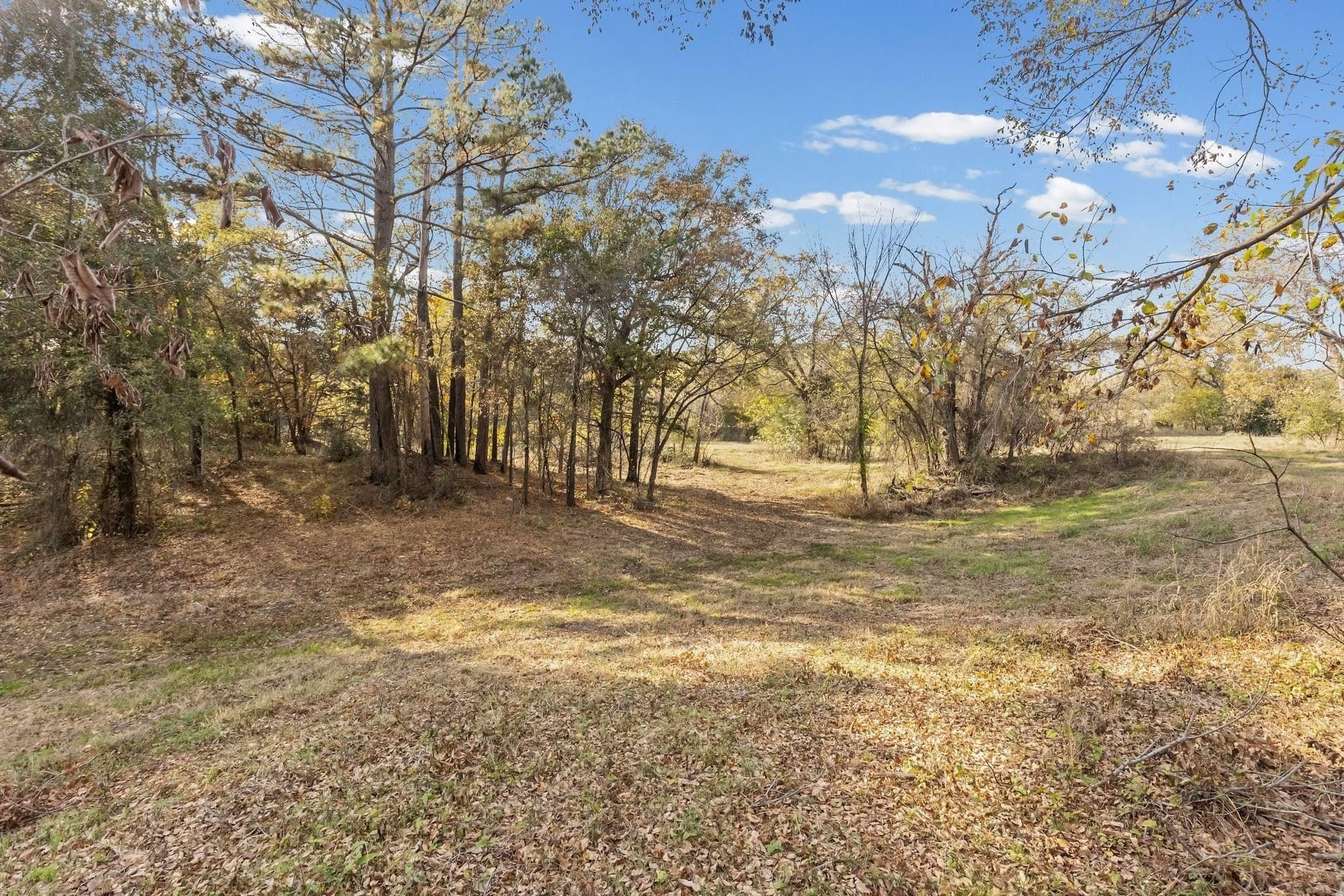 54.88 acres in Hunt County - photo 32