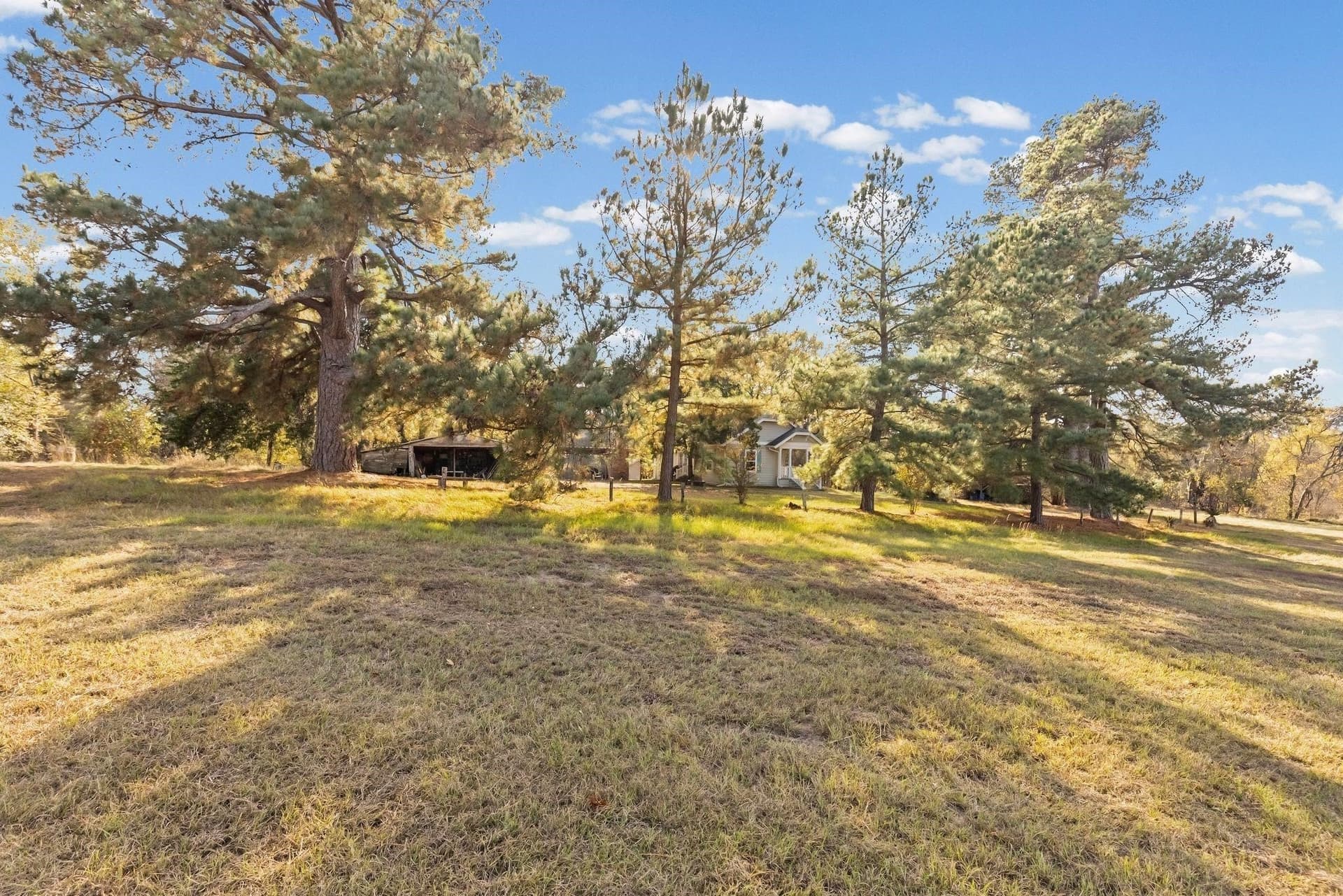 54.88 acres in Hunt County - photo 19