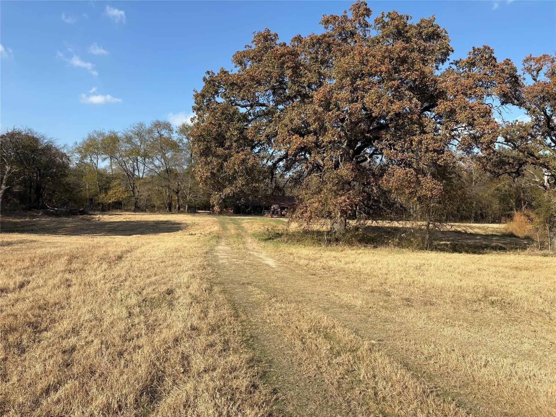 54.88 acres in Hunt County - photo 24