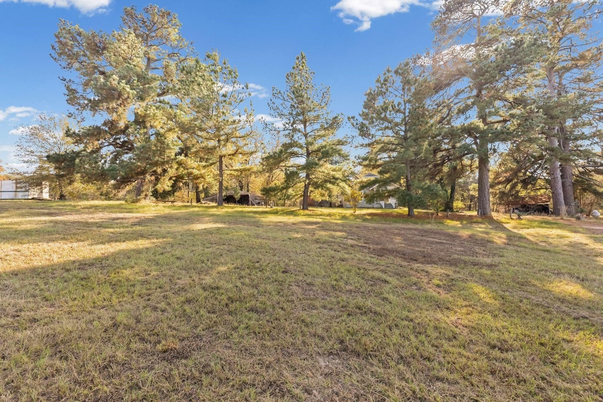 54.88 acres in Hunt County - photo 31