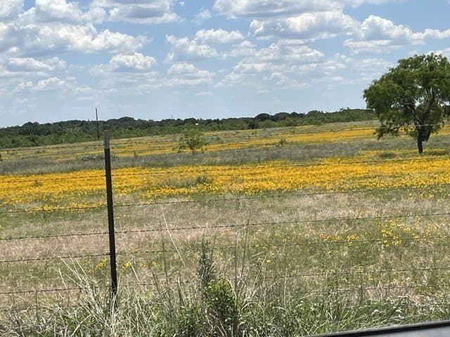 10.01 acres in Brown County - photo 9