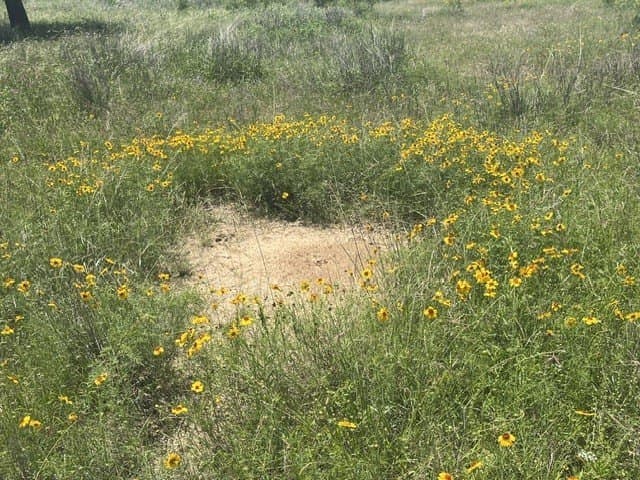 10.01 acres in Brown County - photo 16
