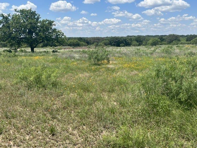 10.01 acres in Brown County gallery image 4