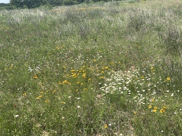10.01 acres in Brown County - photo 15