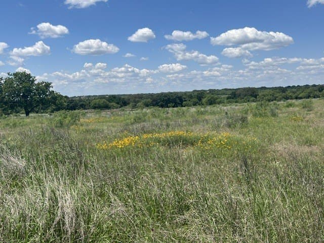 10.01 acres in Brown County gallery image 3