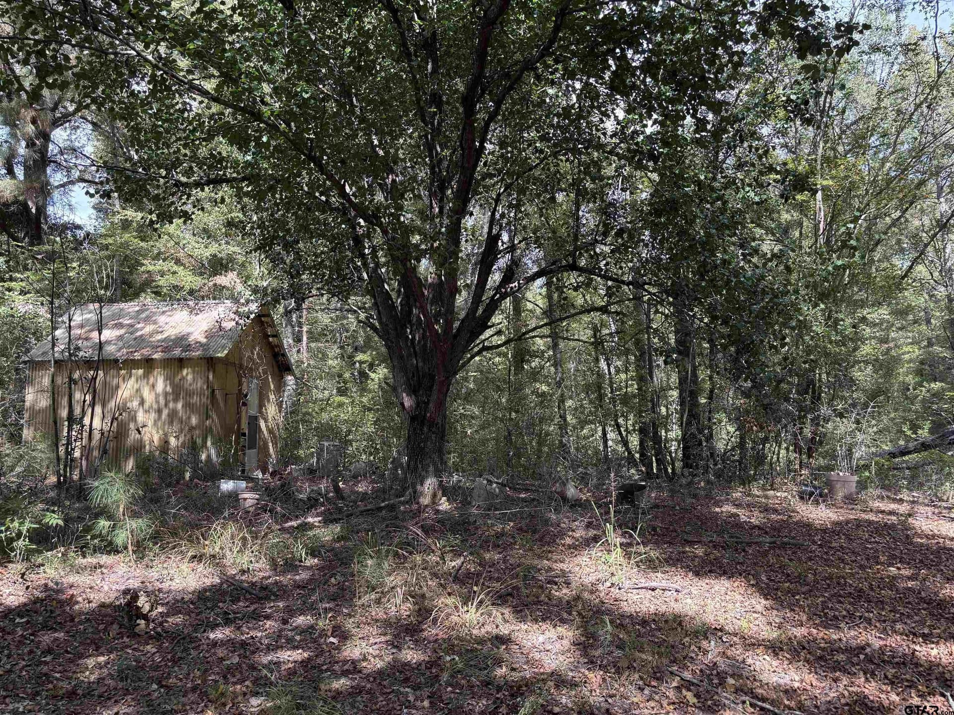 38 acres in Anderson County gallery image 3