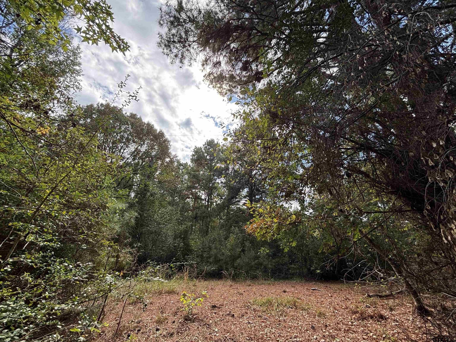 38 acres in Anderson County gallery image 2