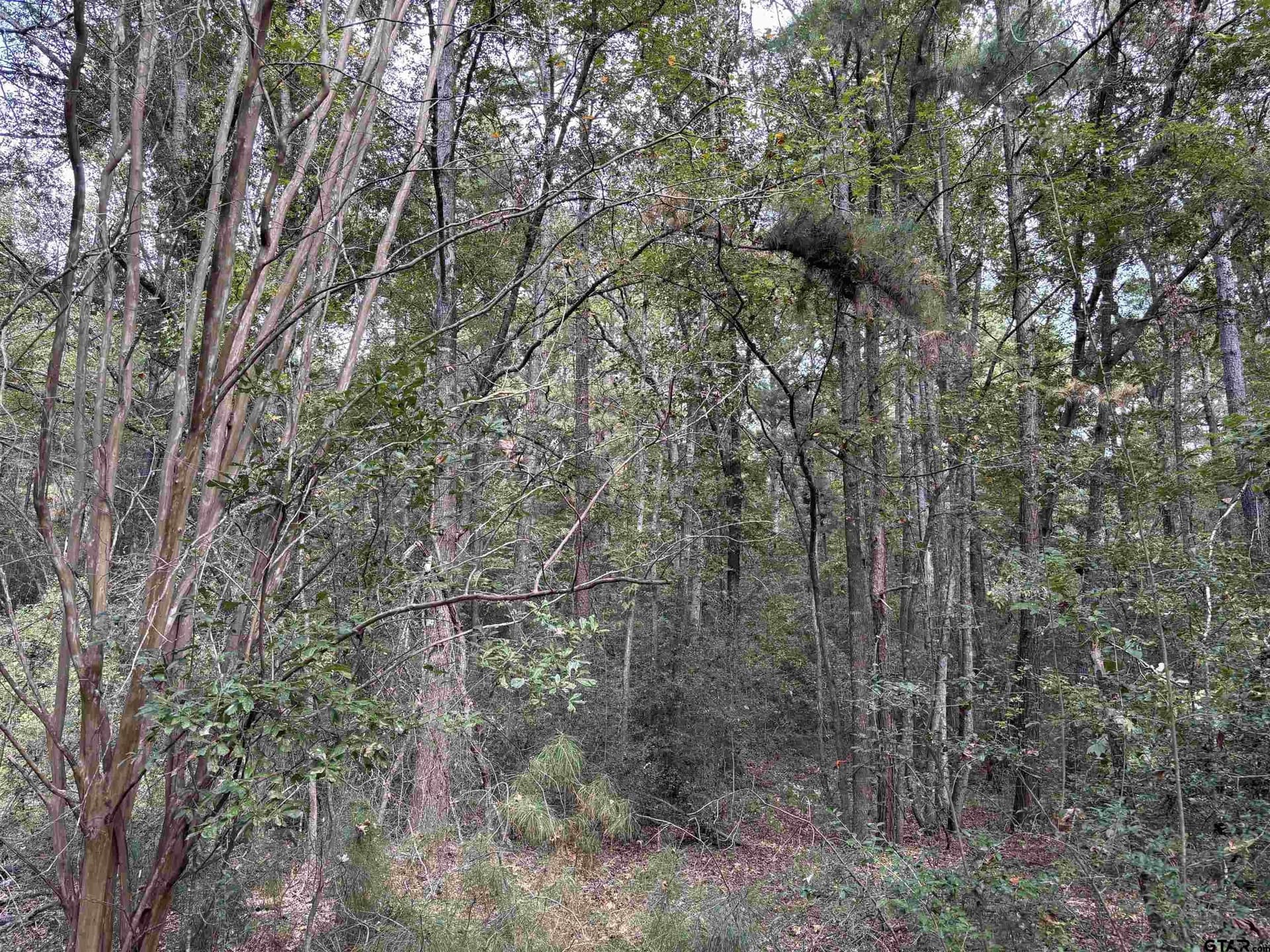 38 acres in Anderson County featured view