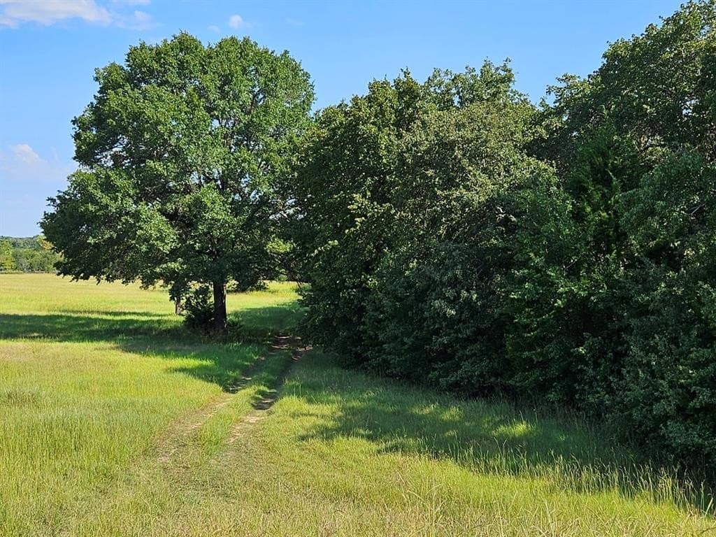 16 acres in Hill County gallery image 2