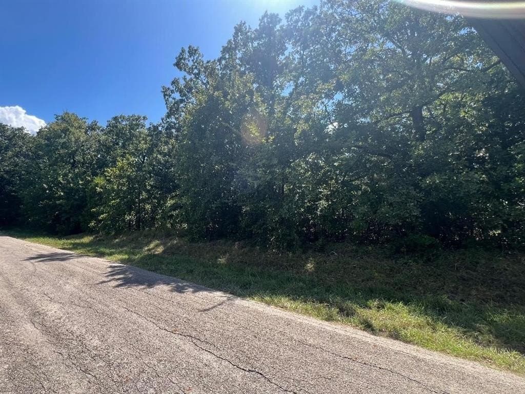 0.12 acres in Henderson County gallery image 4