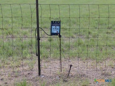 1 acres in Guadalupe County gallery image 4