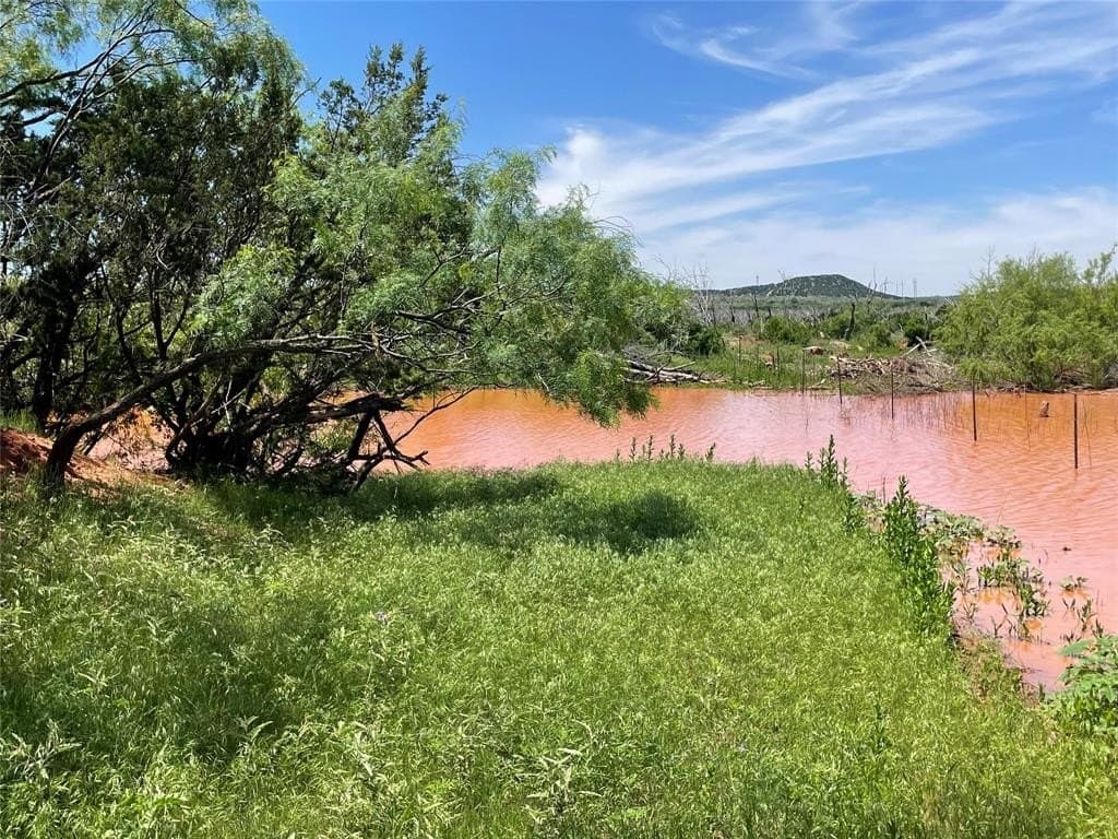 141 acres in Taylor County