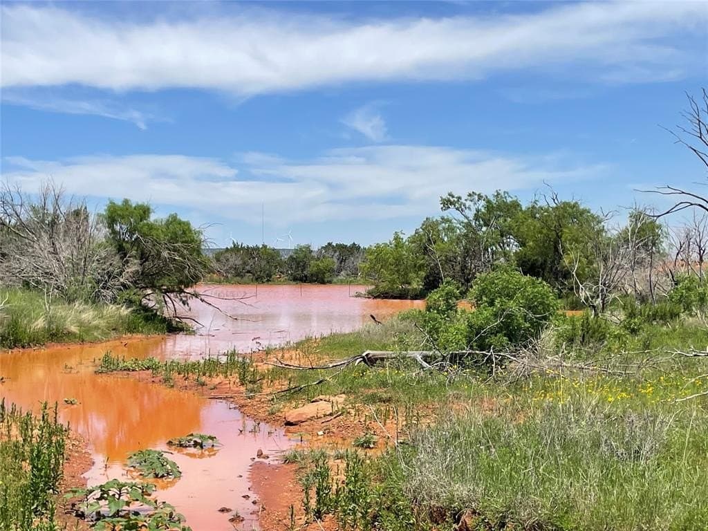 141 acres in Taylor County featured view